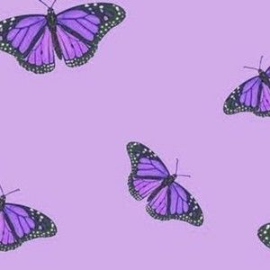 Meet your Posher, Medeea-maria